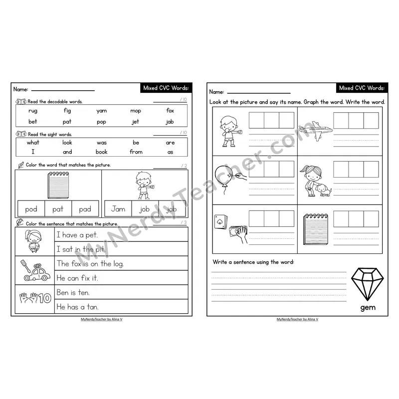 Decodable Look-Alike Words and Sentences Worksheet — Mixed Short Vowel CVC Review