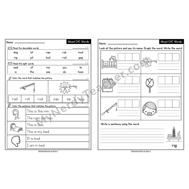Decodable Look-Alike Words and Sentences Worksheet — Mixed Short Vowel CVC Review