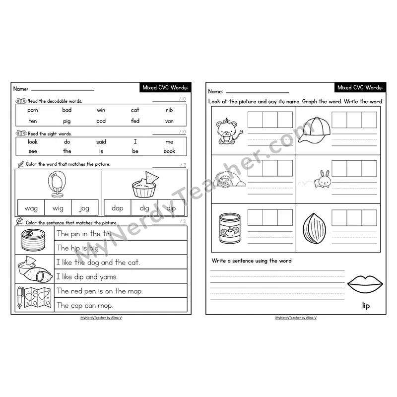 Decodable Look-Alike Words and Sentences Worksheet — Mixed Short Vowel CVC Review