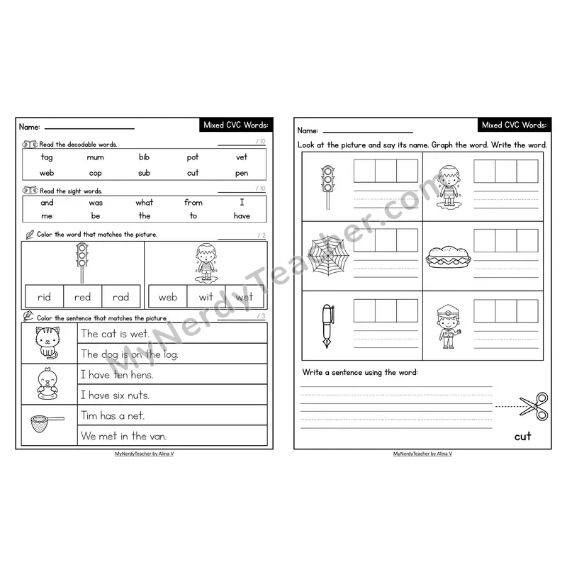 Decodable Look-Alike Words and Sentences Worksheet — Mixed Short Vowel CVC Review