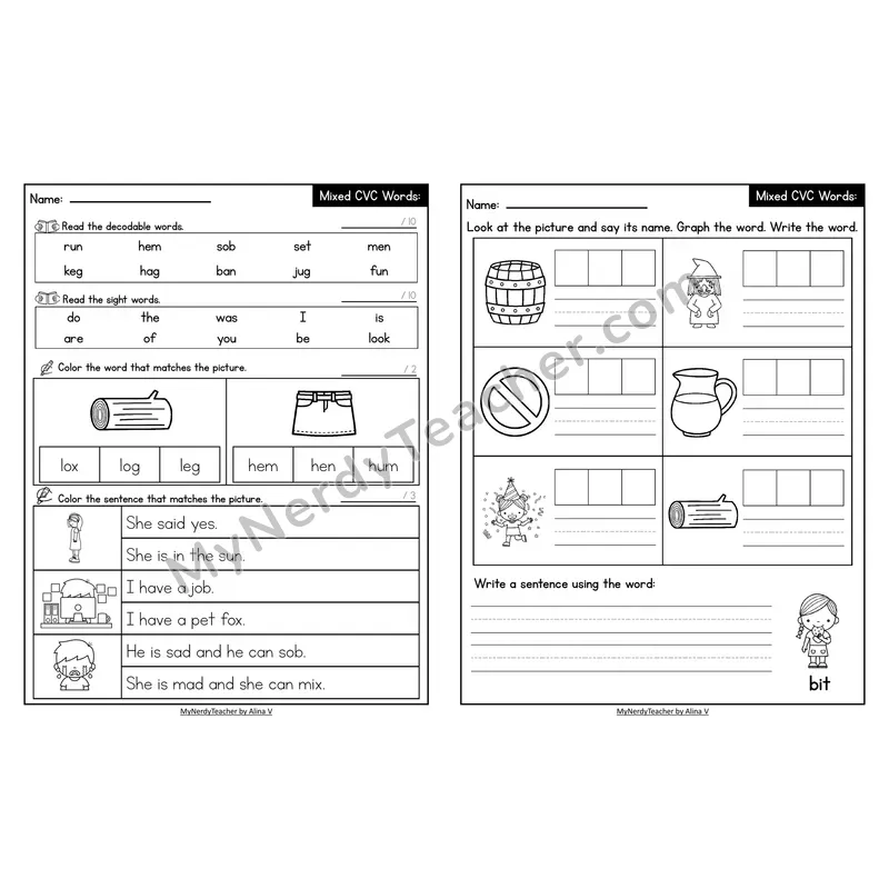 Decodable Look-Alike Words and Sentences Worksheet — Mixed Short Vowel CVC Review