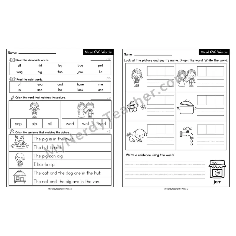 Decodable Look-Alike Words and Sentences Worksheet — Mixed Short Vowel CVC Review