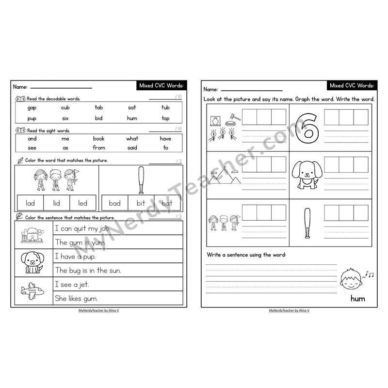 Decodable Look-Alike Words and Sentences Worksheet — Mixed Short Vowel CVC Review
