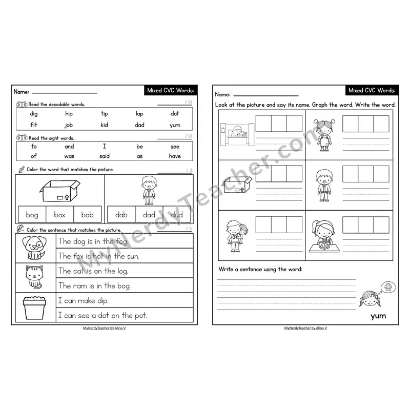 Decodable Look-Alike Words and Sentences Worksheet — Mixed Short Vowel CVC Review