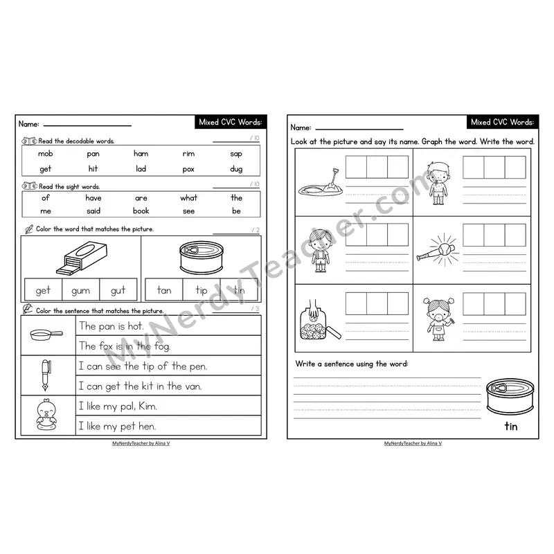 Decodable Look-Alike Words and Sentences Worksheet — Mixed Short Vowel CVC Review