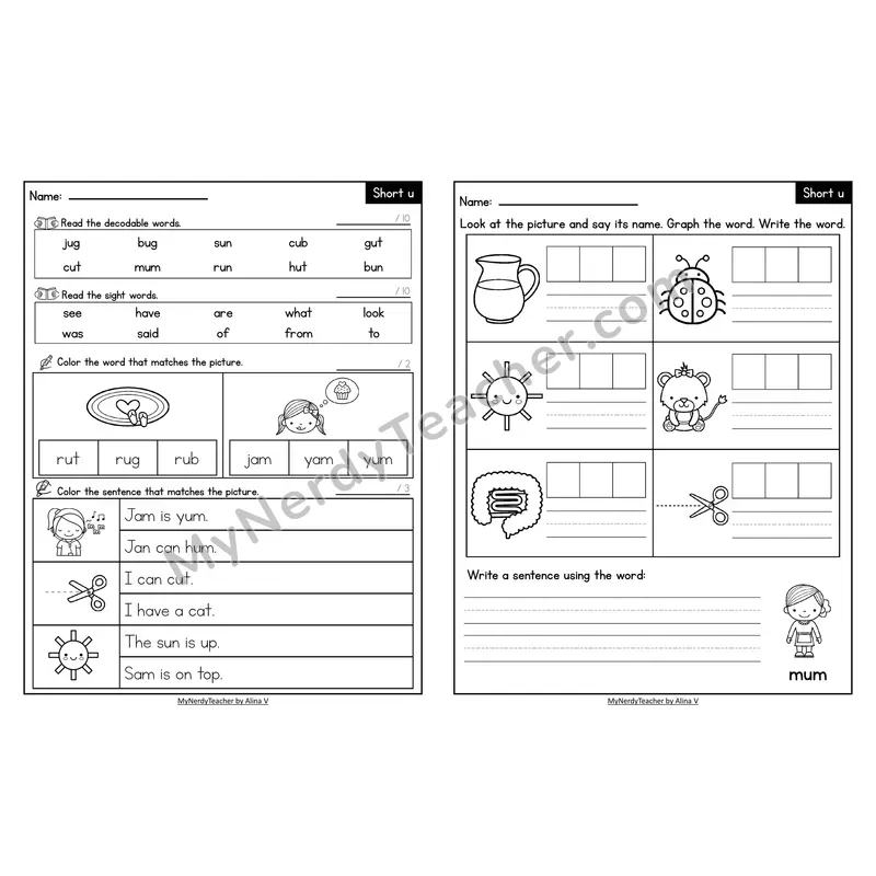 Decodable Look-Alike Words and Sentences Worksheet — Short U CVC Review