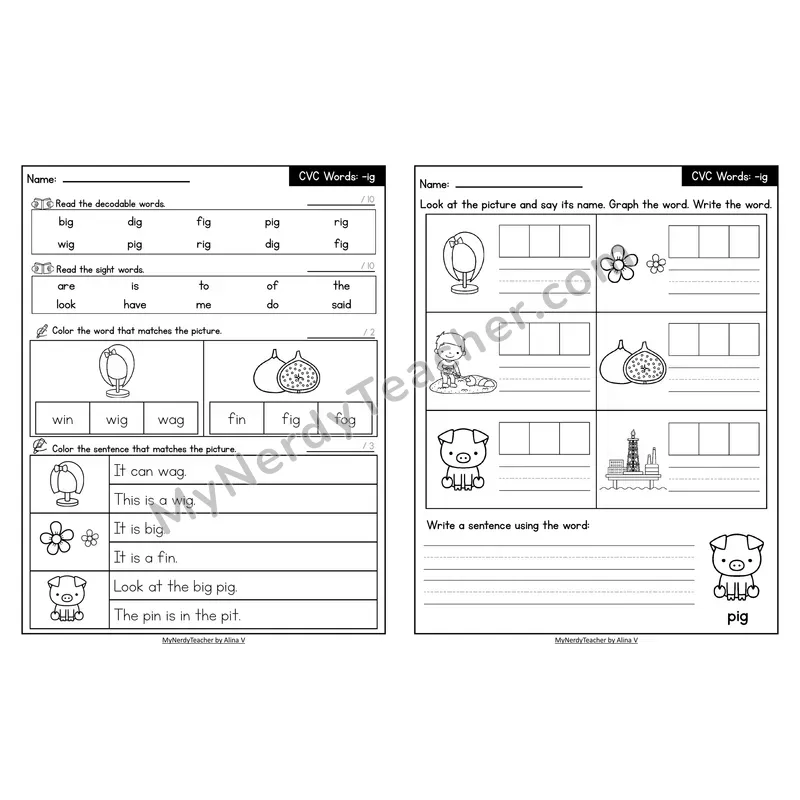 Decodable Look-Alike Words and Sentences Worksheet — Short I CVC