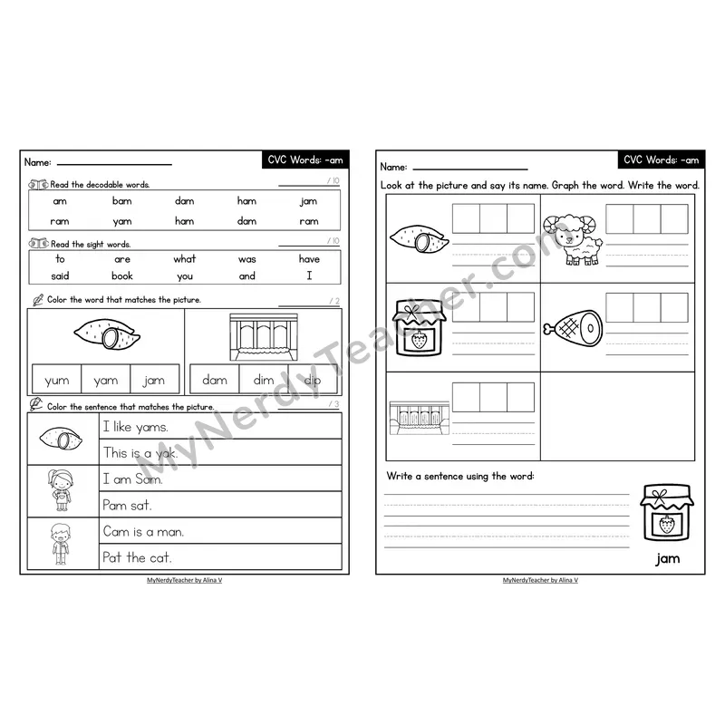Decodable Look-Alike Words and Sentences Worksheet — Short A CVC