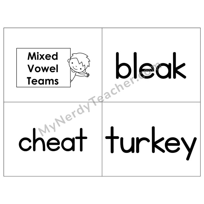 Mixed Vowel Teams Phonics Flip Book — B&W