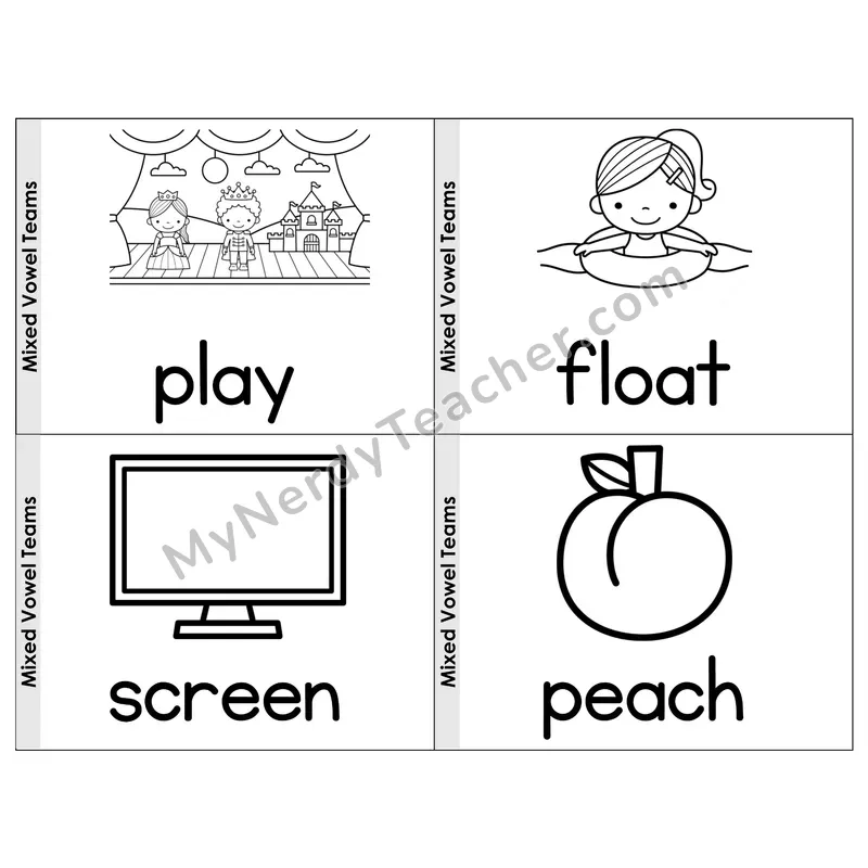 Mixed Vowel Teams Phonics Flip Book — Picture & Word — B&W