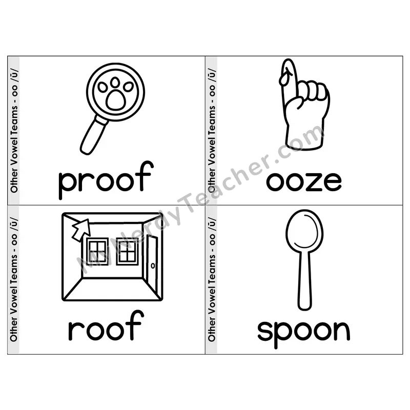 Vowel Team oo (Long Sound) Phonics Flip Book — Picture & Word — B&W