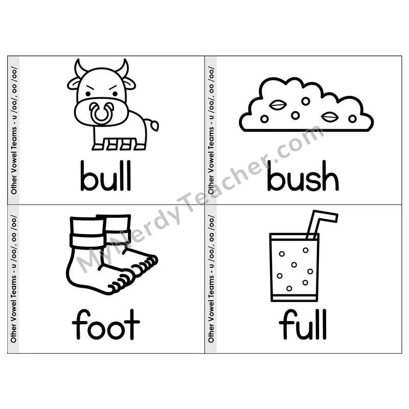 Vowel Team u/oo (Short Sound) Phonics Flip Book — Picture & Word — B&W