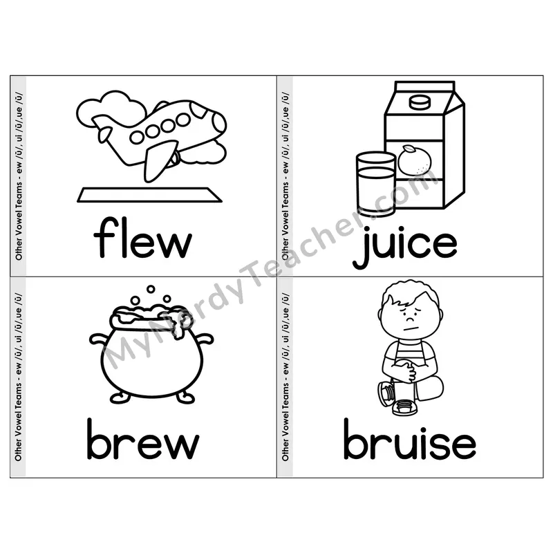 Vowel Teams ew/ui/ue Phonics Flip Book — Picture & Word — B&W