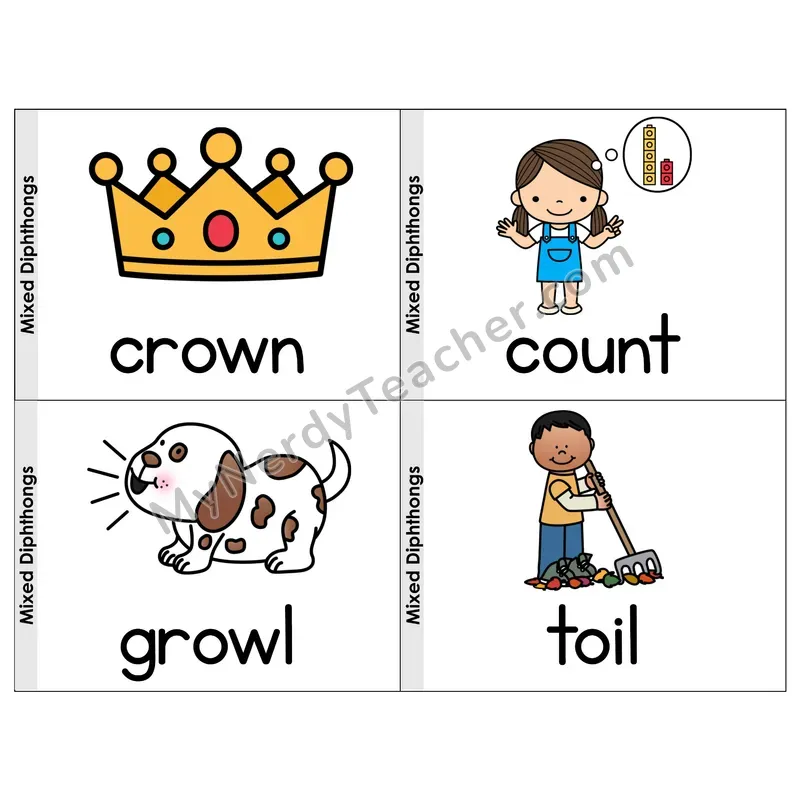 Mixed Diphthongs Phonics Flip Book — Picture & Word