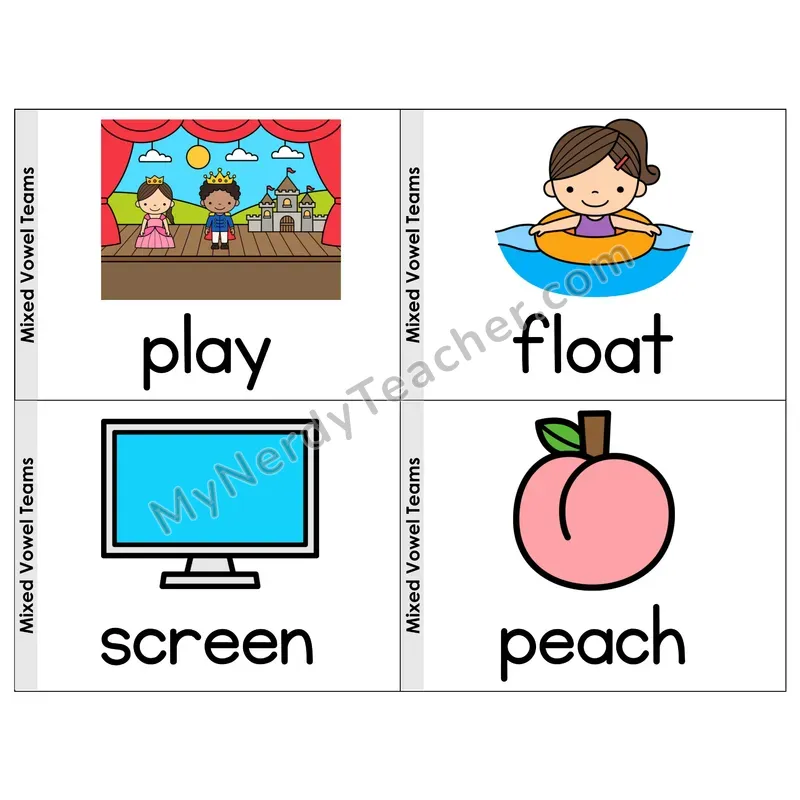 Mixed Vowel Teams Phonics Flip Book — Picture & Word