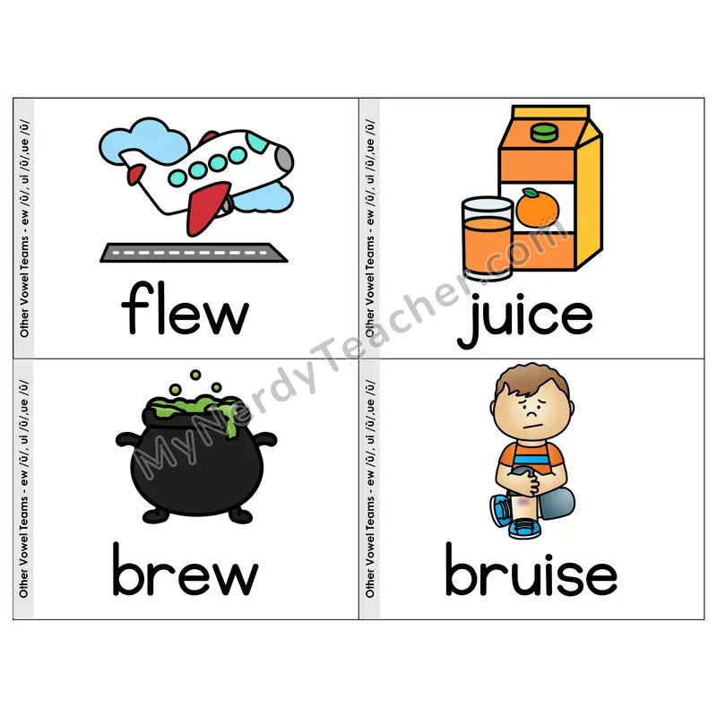 Vowel Teams ew/ui/ue Phonics Flip Book — Picture & Word