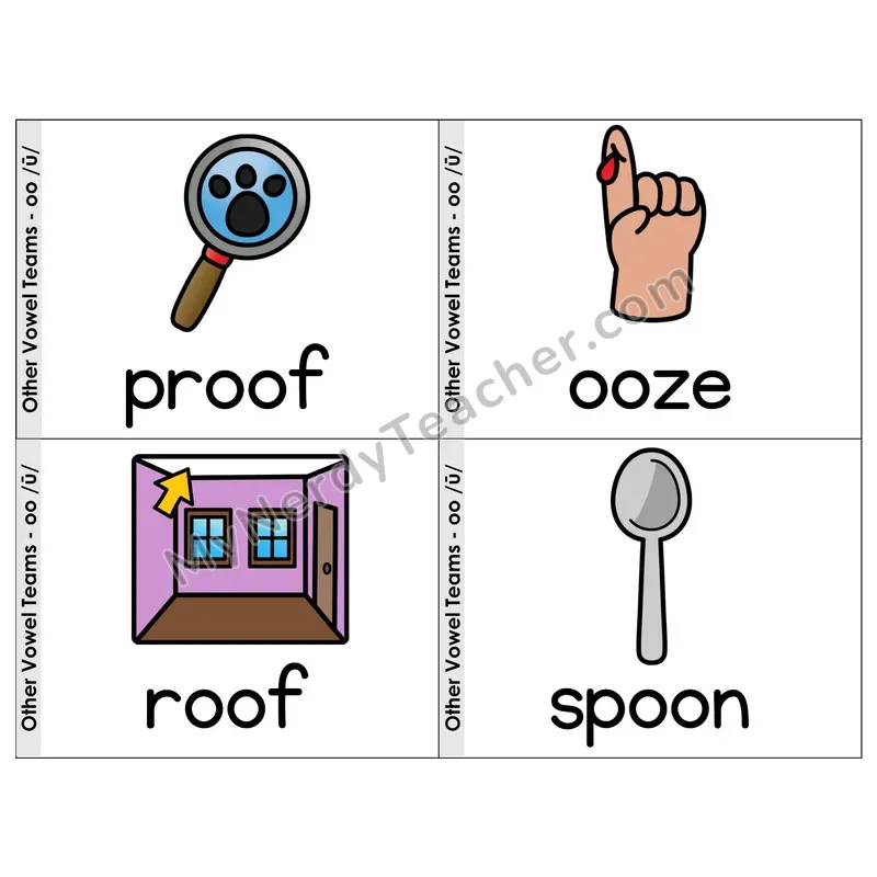 Vowel Team oo (Long Sound) Phonics Flip Book — Picture & Word