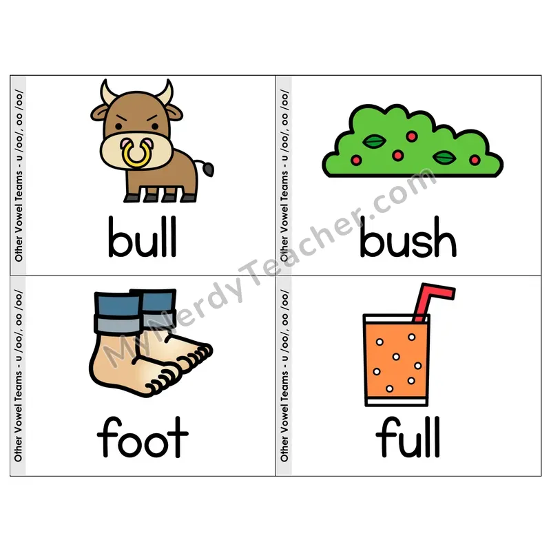 Vowel Team u/oo (Short Sound) Phonics Flip Book — Picture & Word
