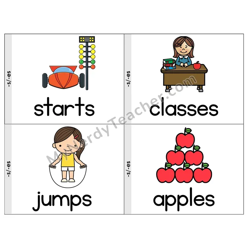 Suffixes -S/-ES Phonics Flip Book — Picture & Word