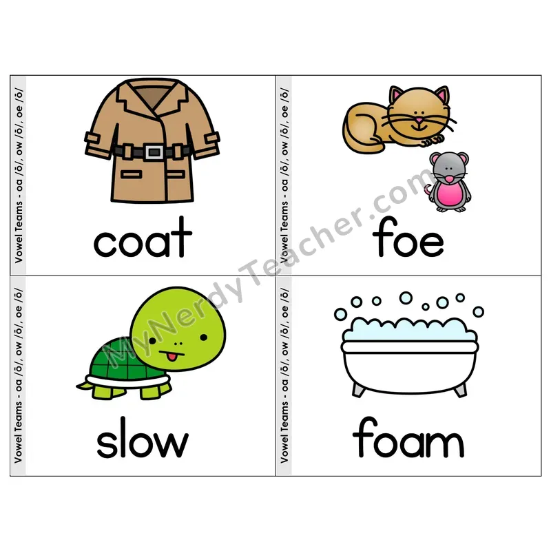 OA/OW/OE Vowel Teams Phonics Flip Book — Picture & Word
