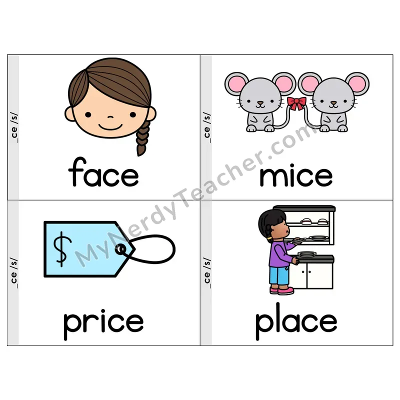 _CE (/s/) Spelling Pattern Phonics Flip Book — Picture & Word