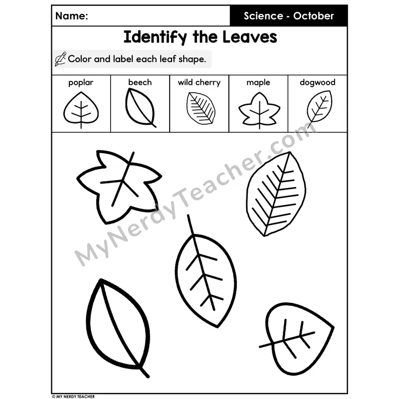 Fall Tree Leaves Identification Worksheet — Color and Label