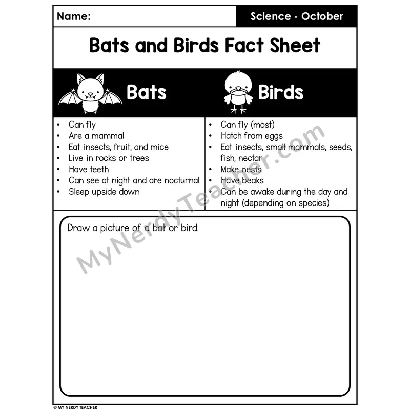 Bats and Birds Compare and Contrast — Fact Sheet and Cut and Paste Sort