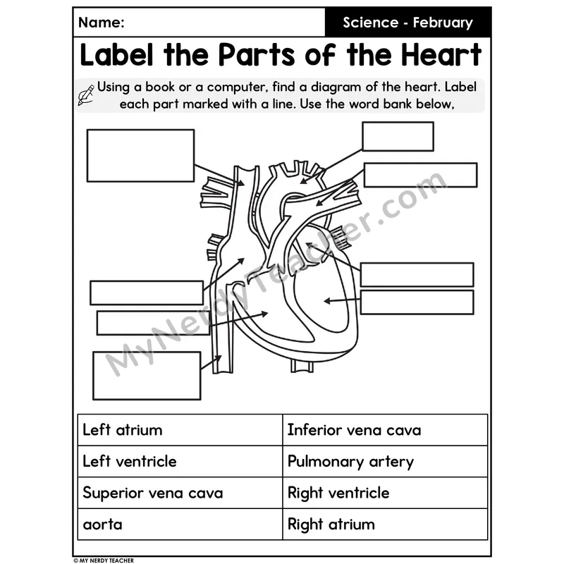 Label the Parts of the Heart Diagram Worksheet — Human Body Science