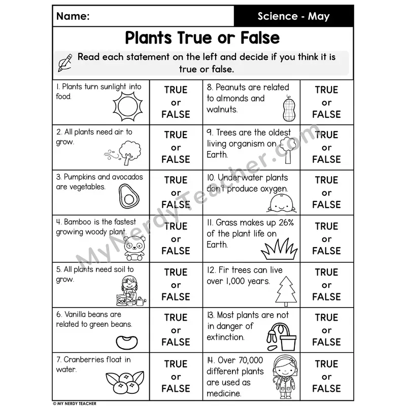 Plants True or False Worksheet — 14 Plant Facts with Answer Key
