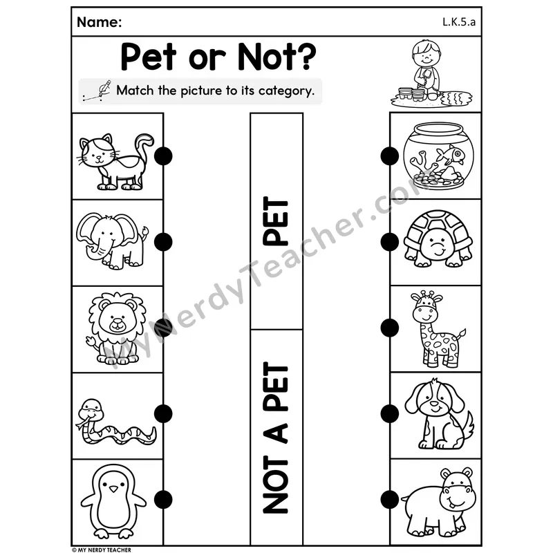 Pet or Not? - Summer Animal Sorting