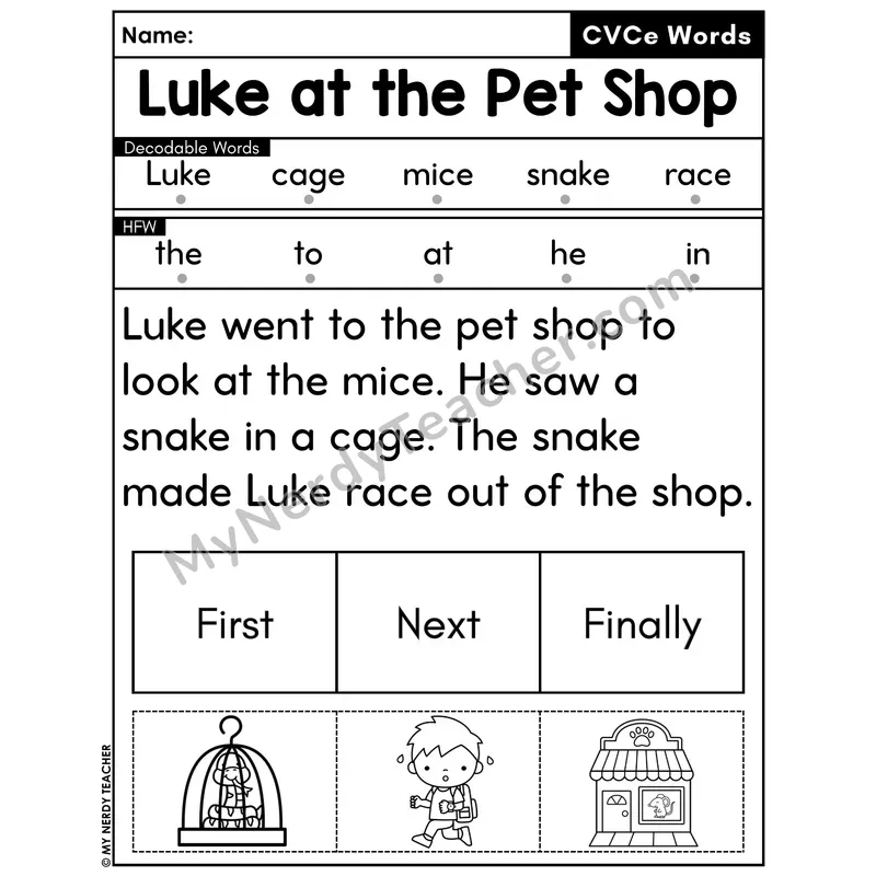 CVCe Silent E Decodable Passage with Sequencing #45 — Luke at the Pet Shop
