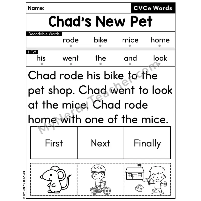 CVCe Silent E Decodable Passage with Sequencing #49 — Chad's New Pet