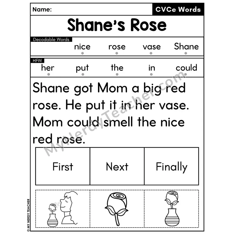 CVCe Silent E Decodable Passage with Sequencing #50 — Shane's Rose