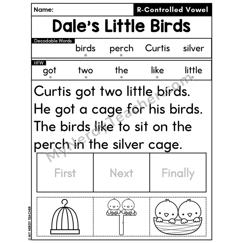 R-Controlled Vowels Decodable Passage Editable PPT #36 — Dale's Little Birds