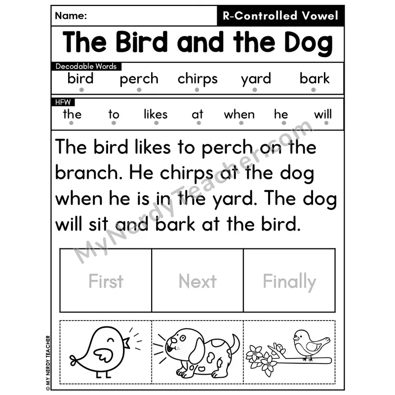 R-Controlled Vowels Decodable Passage Editable PPT #18 — The Bird and the Dog