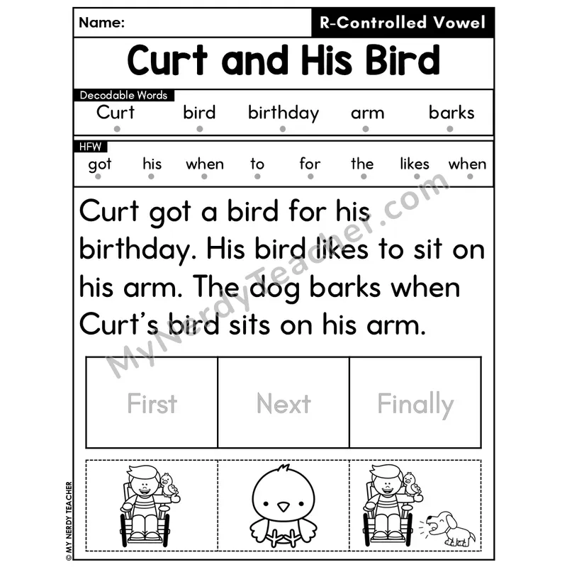 R-Controlled Vowels Decodable Passage Editable PPT #17 — Curt and His Bird
