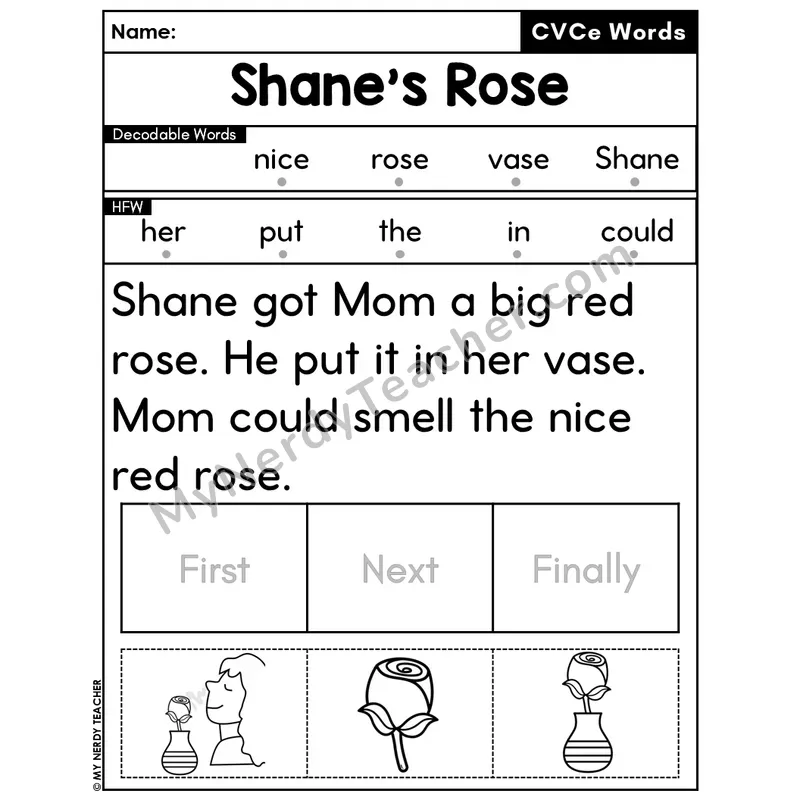 CVCe Silent E Decodable Passage Editable PPT #50 — Shane's Rose