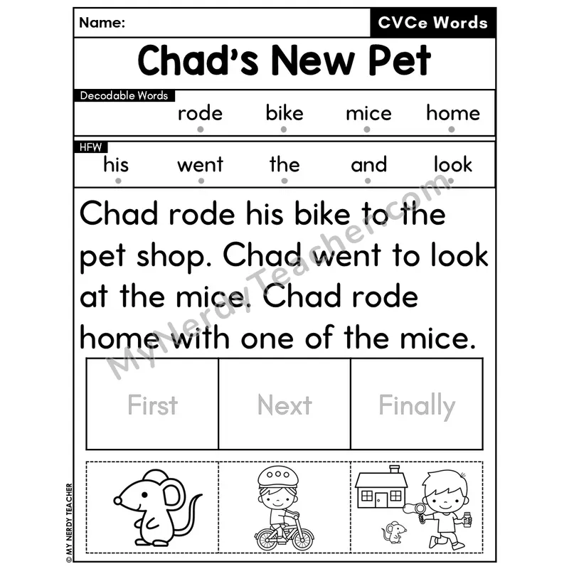 CVCe Silent E Decodable Passage Editable PPT #49 — Chad's New Pet