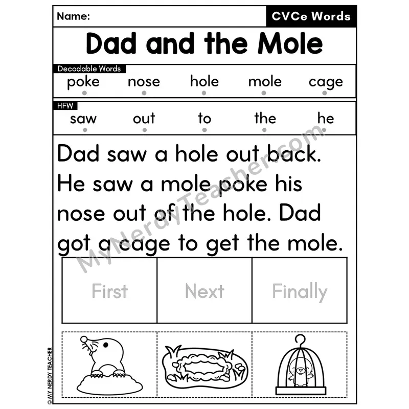CVCe Silent E Decodable Passage Editable PPT #31 — Dad and the Mole