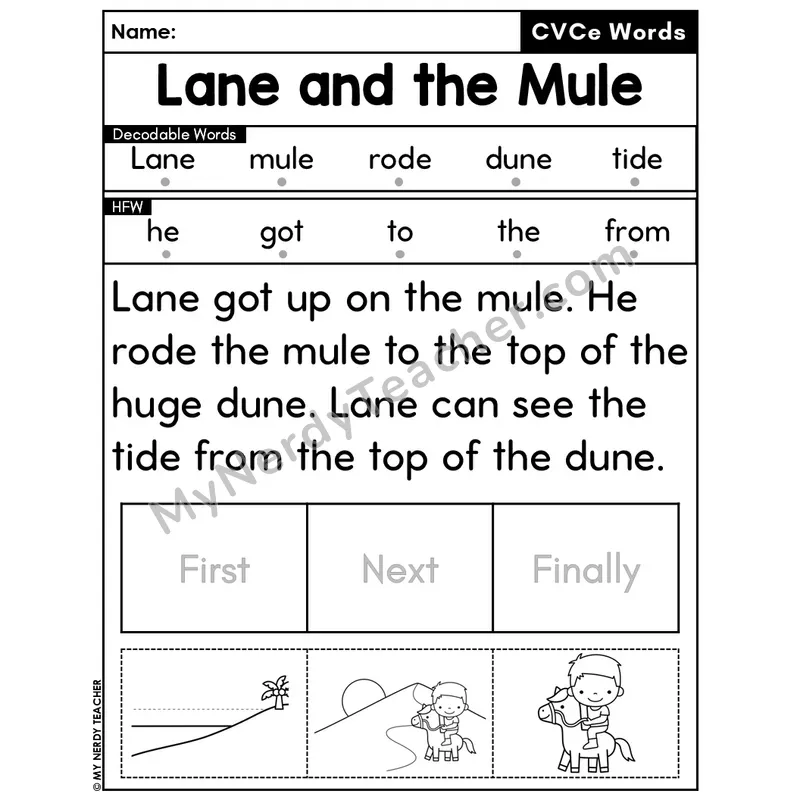 CVCe Silent E Decodable Passage Editable PPT #24 — Lane and the Mule