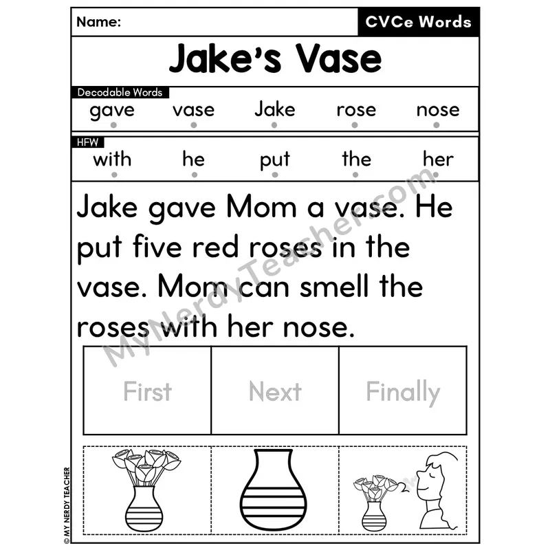 CVCe Silent E Decodable Passage Editable PPT #1 — Jake's Vase