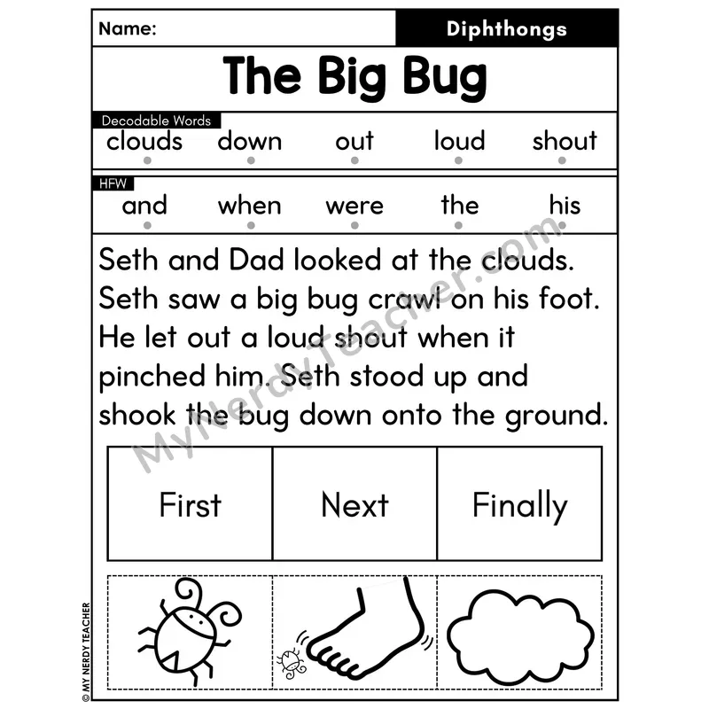 Diphthongs Decodable Passage with Sequencing #14 — The Big Bug
