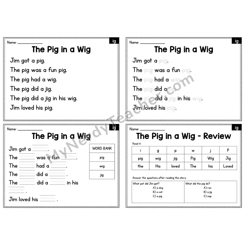 IG Word Family Decodable Passage - The Pig in a Wig