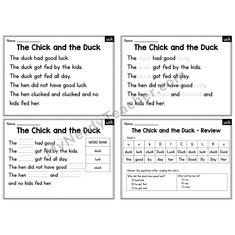 UCK Word Family Decodable Passage - The Chick and the Duck