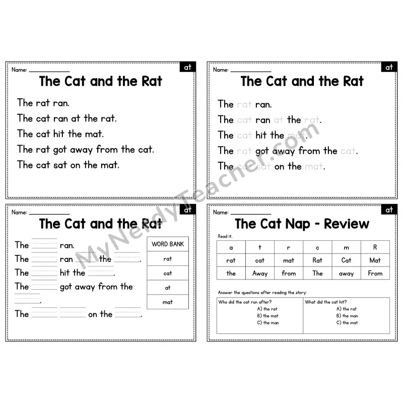 AT Word Family Decodable Passage - The Cat and the Rat