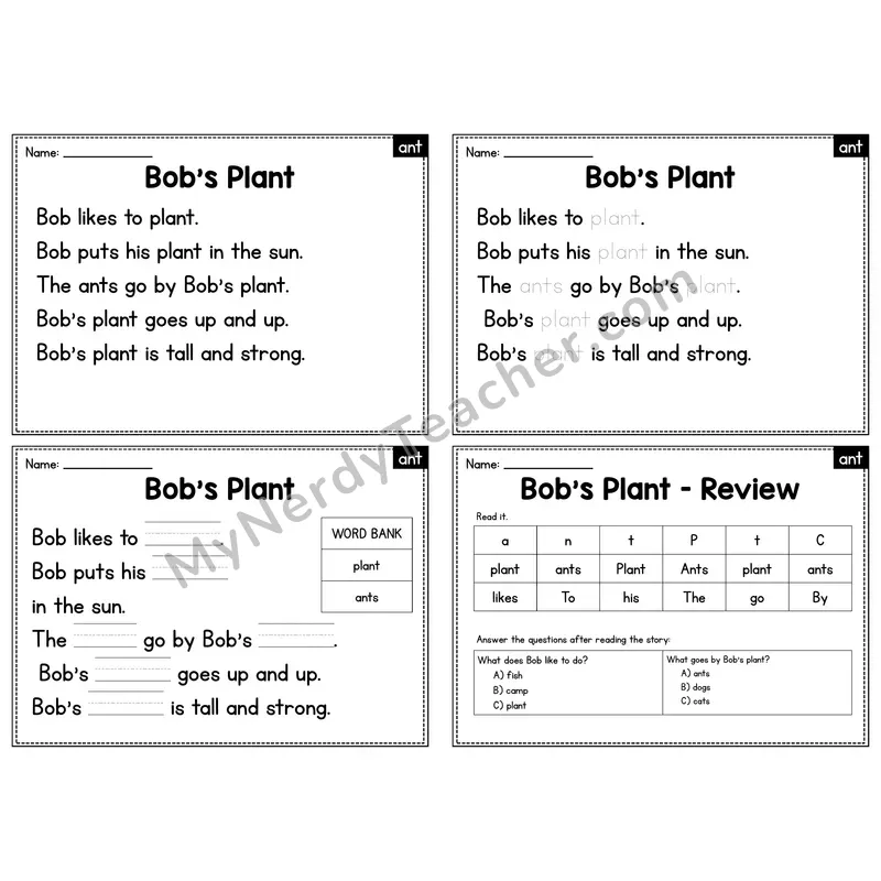 ANT Word Family Decodable Passage - Bob's Plant