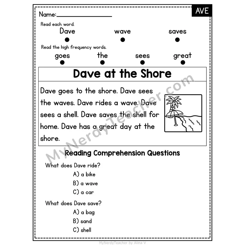 AVE Word Family Decodable Passage - Dave at the Shore