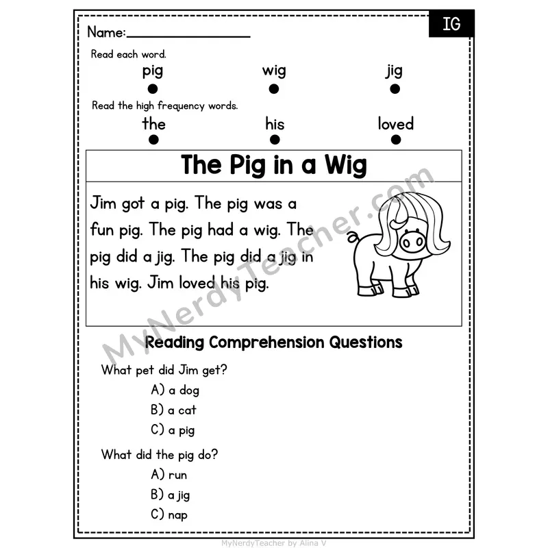 IG Word Family Decodable Passage - The Pig in a Wig