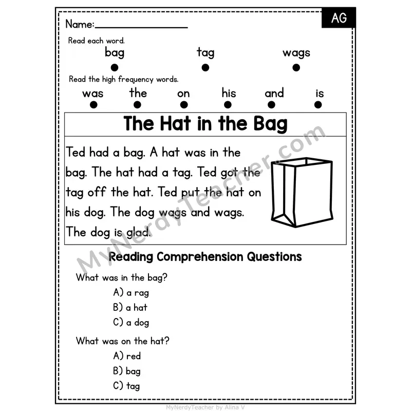 AG Word Family Decodable Passage - The Hat in the Bag