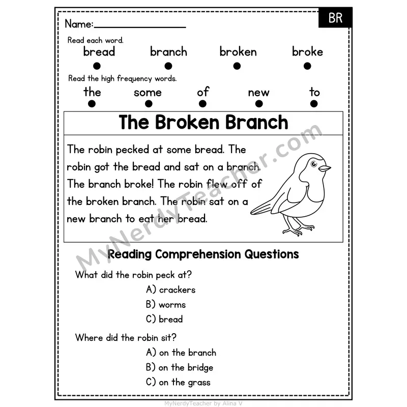 BR Blend Decodable Passage - The Broken Branch